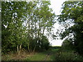 Bridleway north west of Hedon