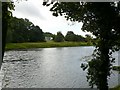 The silvery Tay