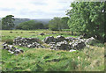 Ruined Farmstead, near Cellan, Ceredigion