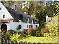 Thatched cottages, Fortingall