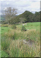 Hill Stream Landscape on Bryn Mawr, Ceredigion