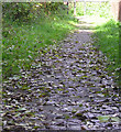 Cobbled path through The Valley