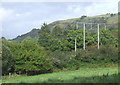 Hillside and Woodland, Teifi Valley, Ceredigion