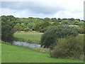 Afon Teifi at Llanfair Clydogau, Ceredigion