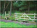 NY5626 : Public footpath up Leacet Hill by Keith Wright