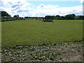 Prescott Equestrian Centre