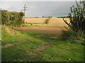 View across the fields from Bossington Farm