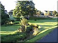 Stream in Balloch