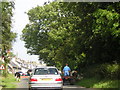 Cars and cattle approaching Mochrum