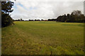 Field South of Wootton Pond