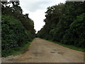 The driveway of Cawston Park Hospital