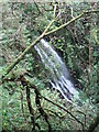 NS3466 : Gotter Linn Waterfall by wfmillar