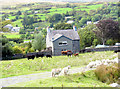 Sheep and cattle at the back of Snowdon View