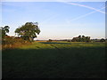 Looking across to Smythemoor