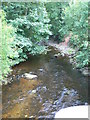 Afon Ceiriog at Glyn Ceiriog