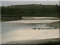 Tidal surge on the Loughor Estuary