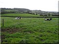 Ballynacross Townland