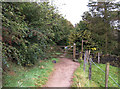 Pennine Bridleway, Holly Grove