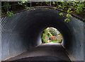 Pennine Bridleway, Uppermill