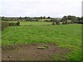 Dromard Townland