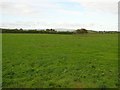 Drumard Townland