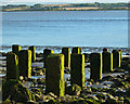 TA0125 : Foreshore posts by Paul Harrop