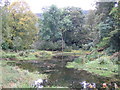 Mill pond at Hangingshaw Burn