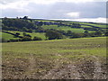 View towards Thorne Farm