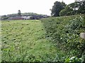 View along the hedgerow to Thruxted