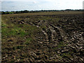 View east across ploughed field