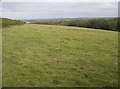 Grazing land near Dodpits Lane