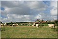 Westonby Farm