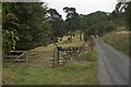 The road from Caydale Mill to Old Byland