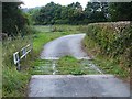 Overgrown cattle grid near Lower Varchoel