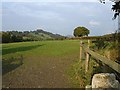 Pasture near Hidden Valley Holiday Park