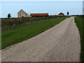 Driveway to Snoring Barn