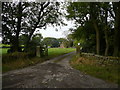 Cullumbell Lane View of Farm at Bunting Field