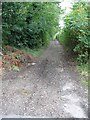TR0953 : Bridleway from Pickelden Lane by Nick Smith