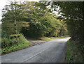 Track to Stibb Hollow Farm