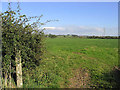 Large grazing field