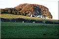 Fields along Alverstone Road, opposite Borthwood