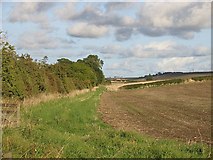 NT9046 : Newly planted field near Norham by Richard Webb
