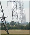 SP7593 : Electricity Pylons by Mat Fascione