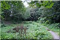 Rosehill Quarry nature reserve