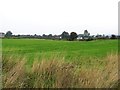 Culbane Townland