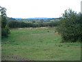 Farmland in the Afon Tywi valley