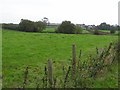 Curragh Townland