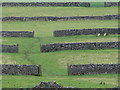 SK1482 : Dry Stone Walls by Ian Paterson