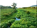 Watercourse between Preston and Whittonditch, Wiltshire