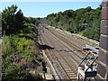 West Coast Main Line from Ivy House Lane, looking west